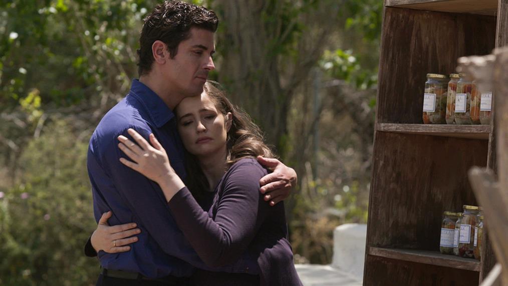 Άγριες-Μέλισσες-Λάμπρος-Ελένη Άγριες-Μέλισσες-Λάμπρος-Ελένη