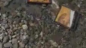 Χαλκίδα: Γέμισε η θάλασσα με εικόνες Αγίων (βίντεο)