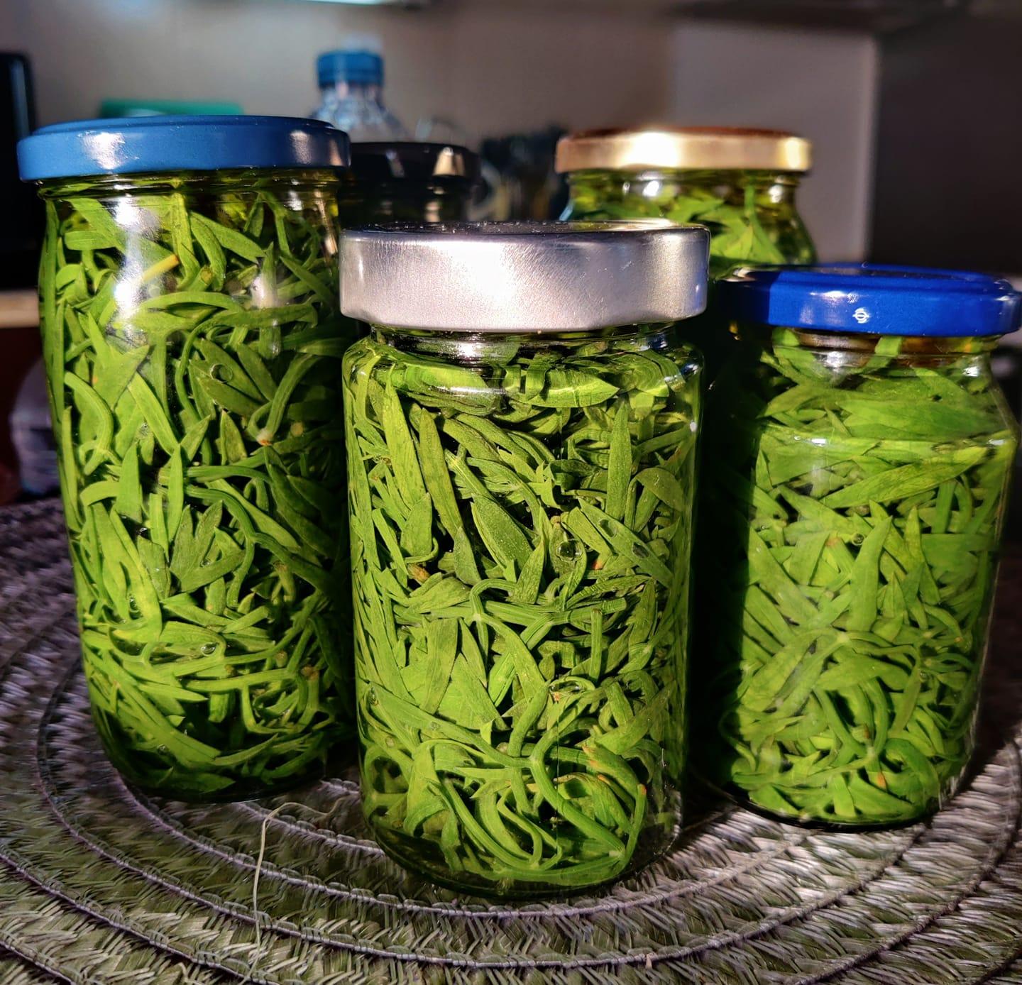 Κρίταμο- τουρσί- Κρίταμο- τουρσί-