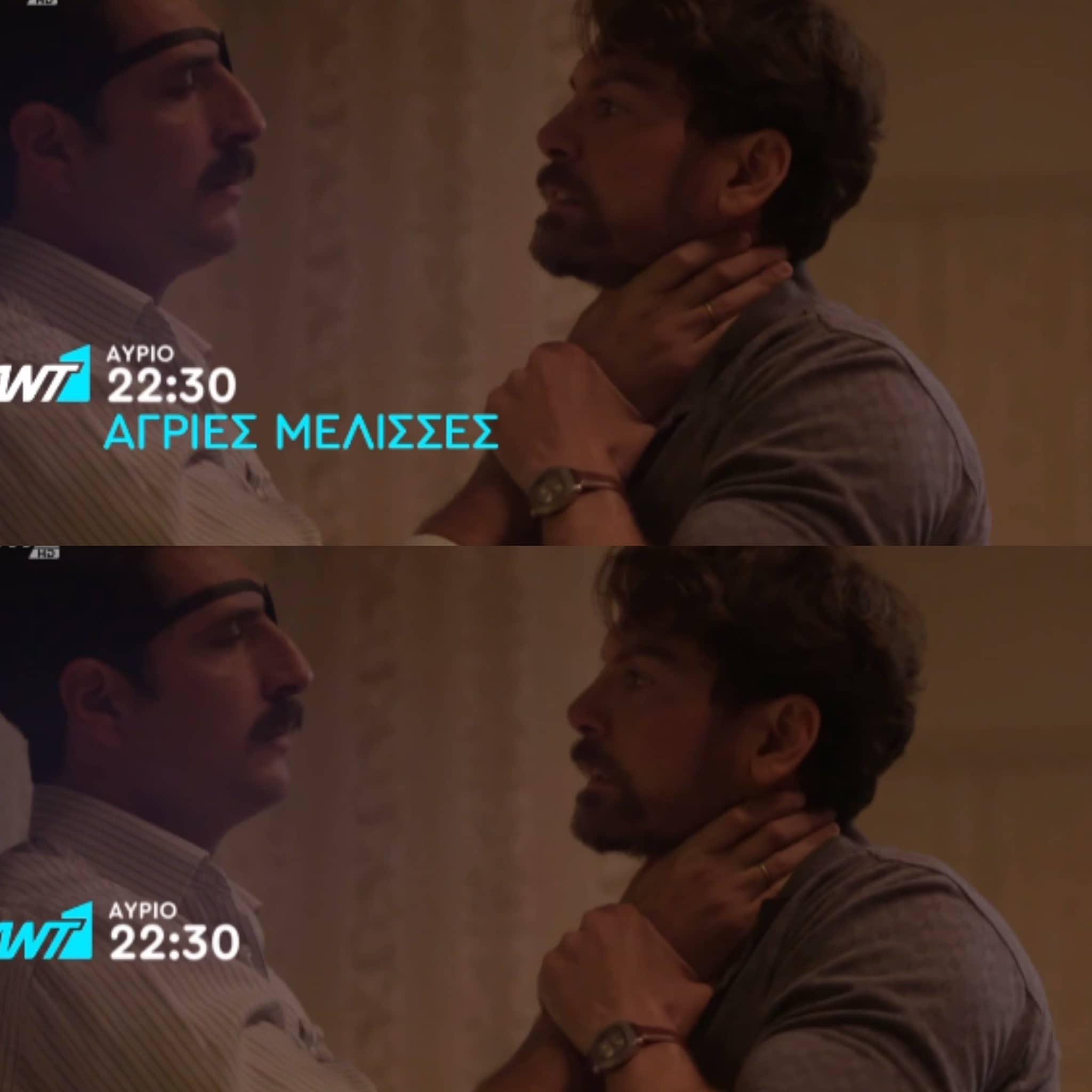 Άγριες Μέλισσες-Μελέτης-Κωνσταντής-