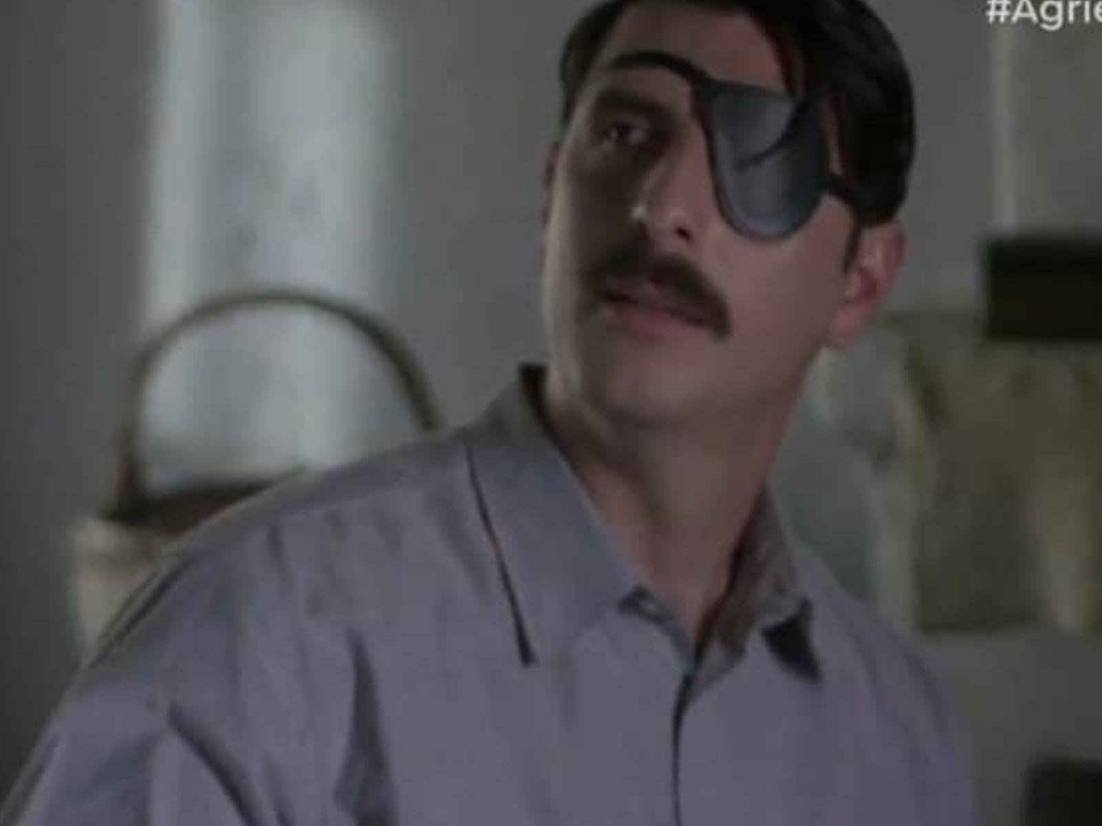 Άγριες Μέλισσες-Μελέτης-