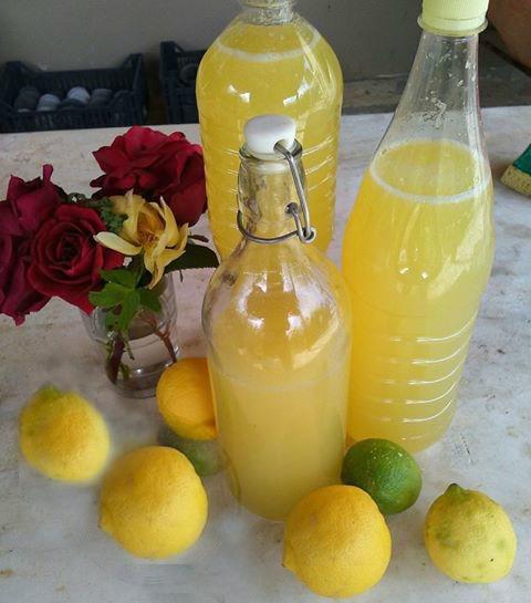 σπιτική-λεμονάδα σπιτική-λεμονάδα