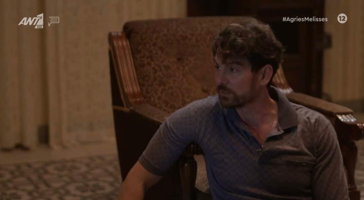 Άγριες Μέλισσες-Κωνσταντής-