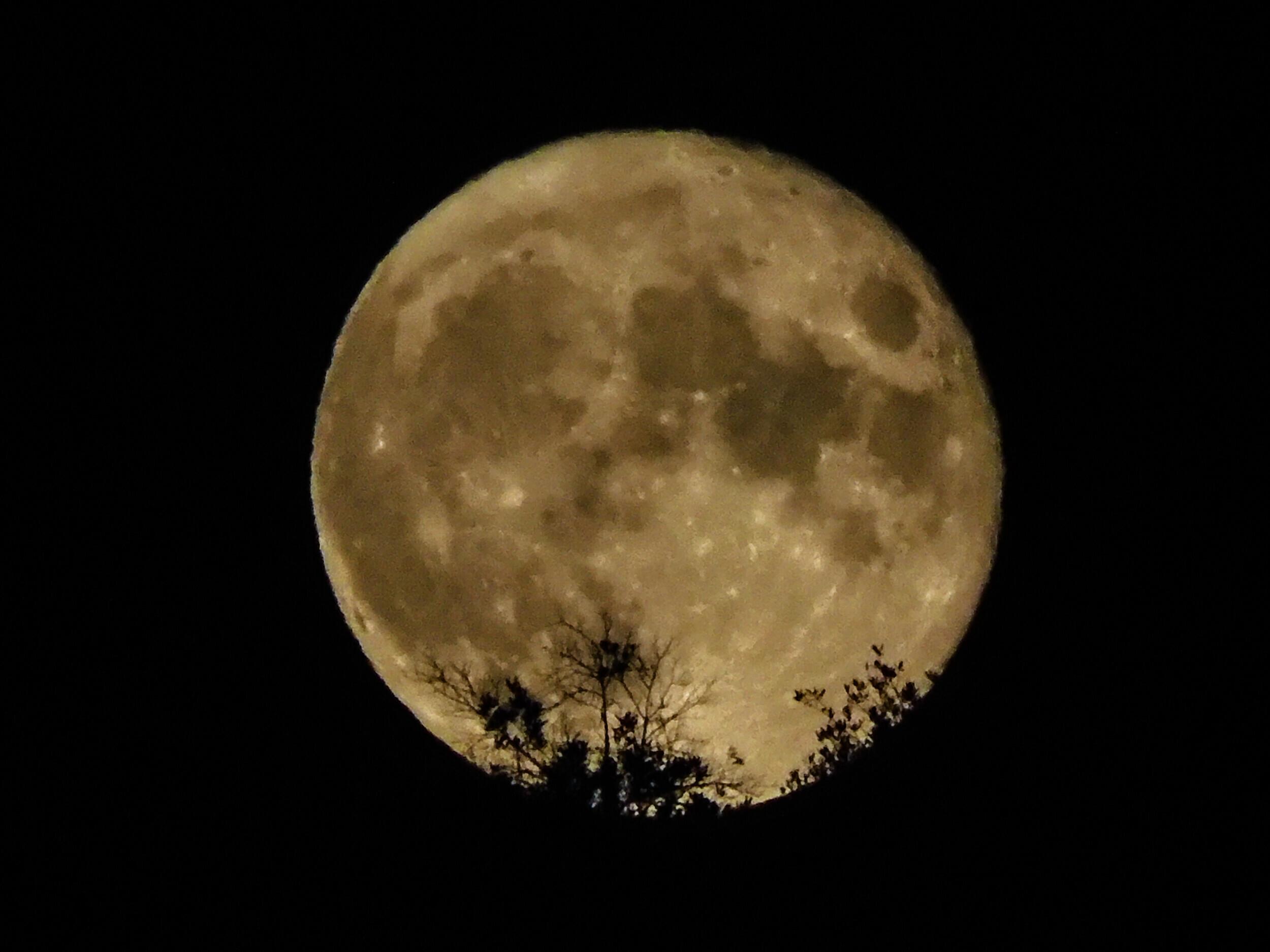 Άση Μπήλιου: Η υπερπανσέληνος που έρχεται και ποια τα ζώδια που πρέπει να προσέξουν