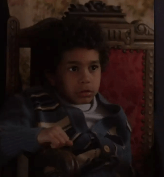 Άγριες Μέλισσες-Ζαχαρίας- Άγριες Μέλισσες-Ζαχαρίας-