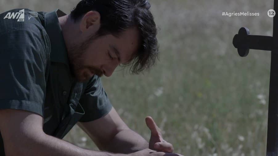 Άγριες Μέλισσες-Κωνσταντής-