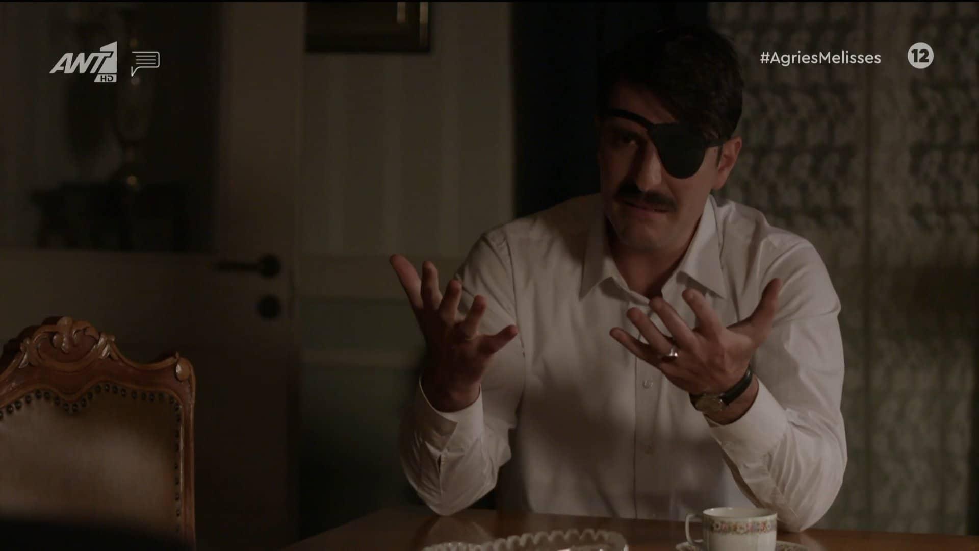 Άγριες Μέλισσες-Μελέτης- Άγριες Μέλισσες-Μελέτης-