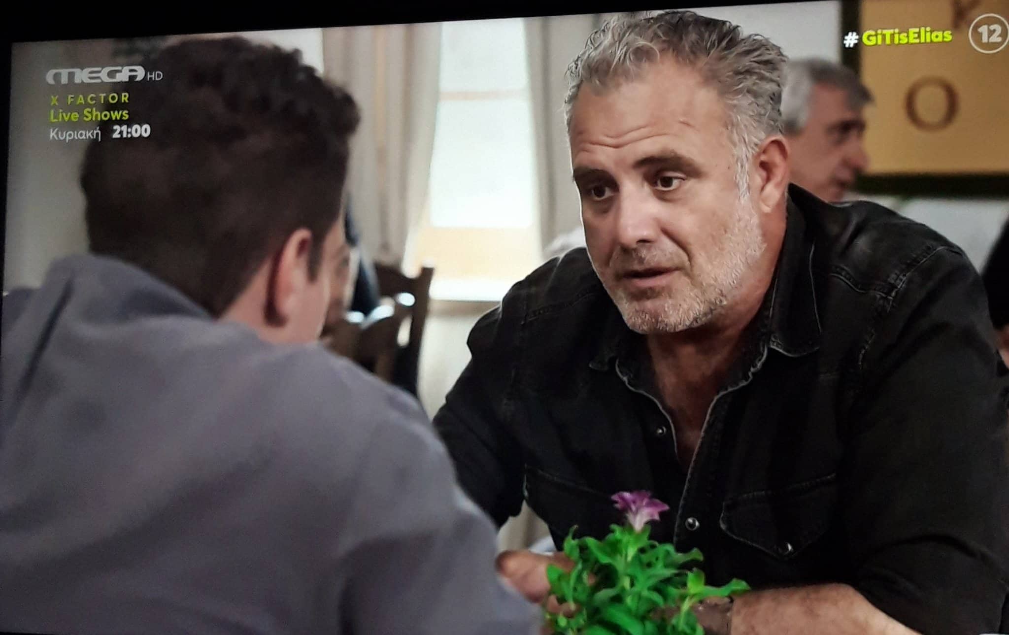 Η Γη της Ελιάς-Στάθης- Η Γη της Ελιάς-Στάθης-