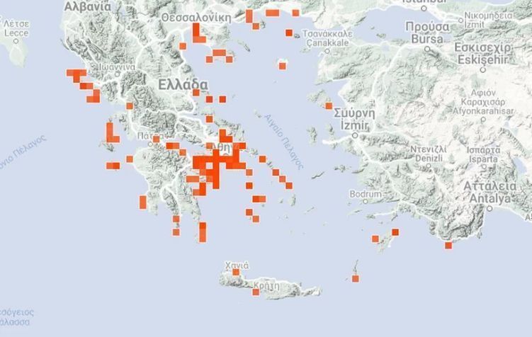 Μωβ μέδουσες: Ποιες παράλιες πρέπει να αποφεύγονται – Μην τις βγάζετε στην άμμο