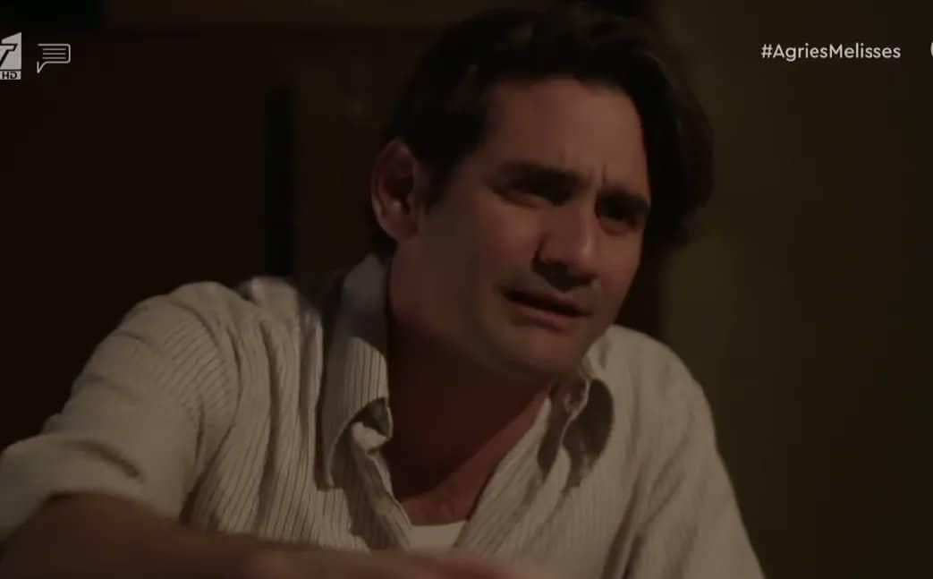 Άγριες Μέλισσες-Ζάχος- Άγριες Μέλισσες-Ζάχος-