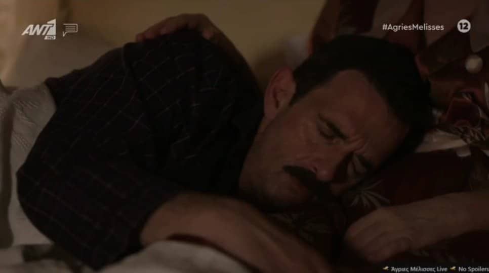 Άγριες Μέλισσες-Δούκας-