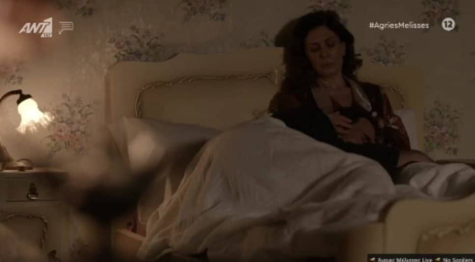 Άγριες Μέλισσες-Μυρσίνη-