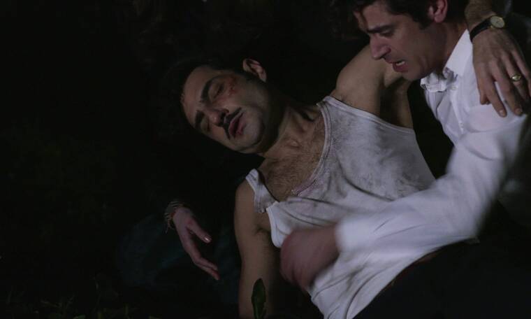 Άγριες Μέλισσες-Ζάχος-