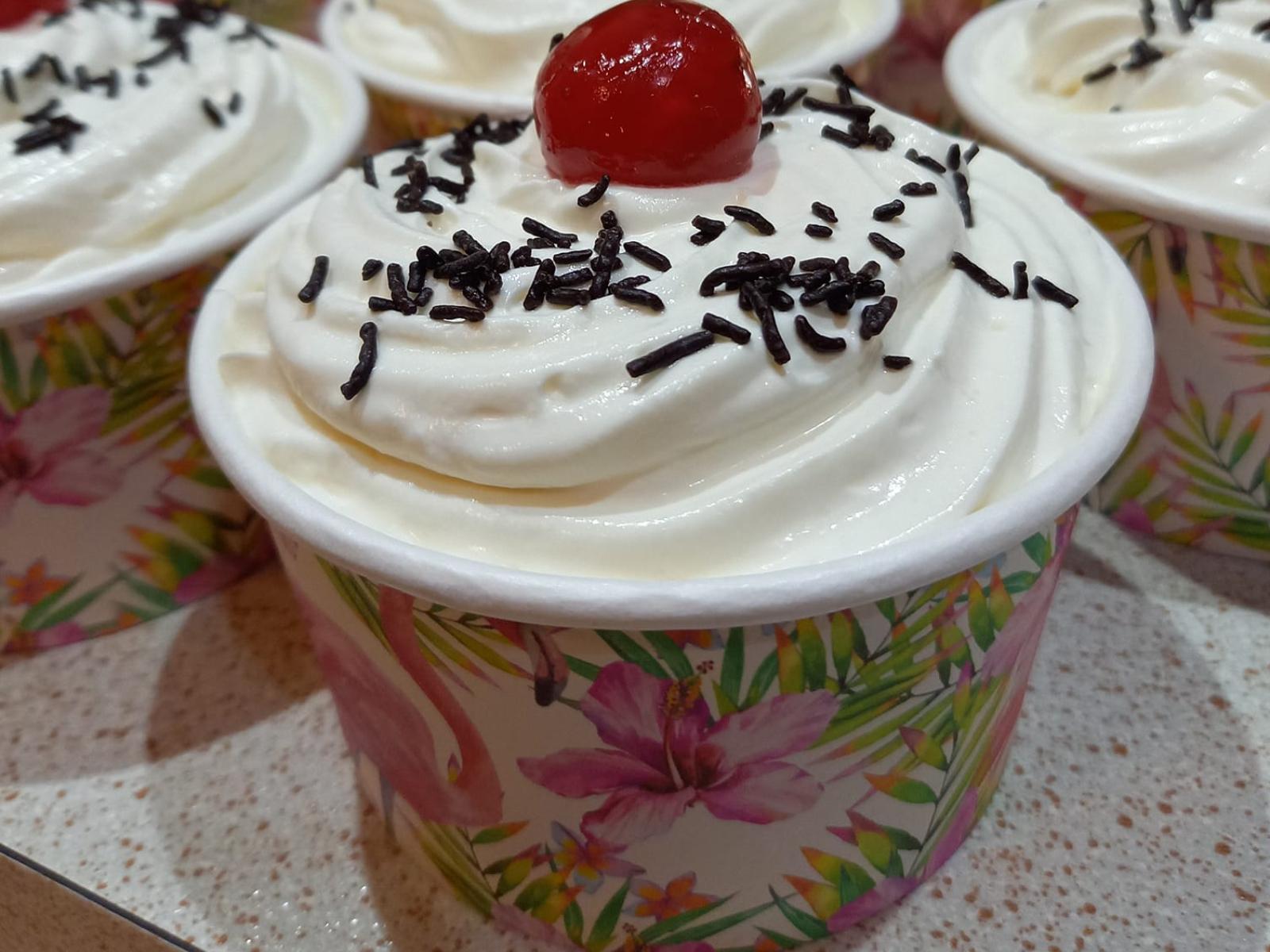 παγωτό γιαούρτι-χωρίς ζάχαρη-συνταγή-