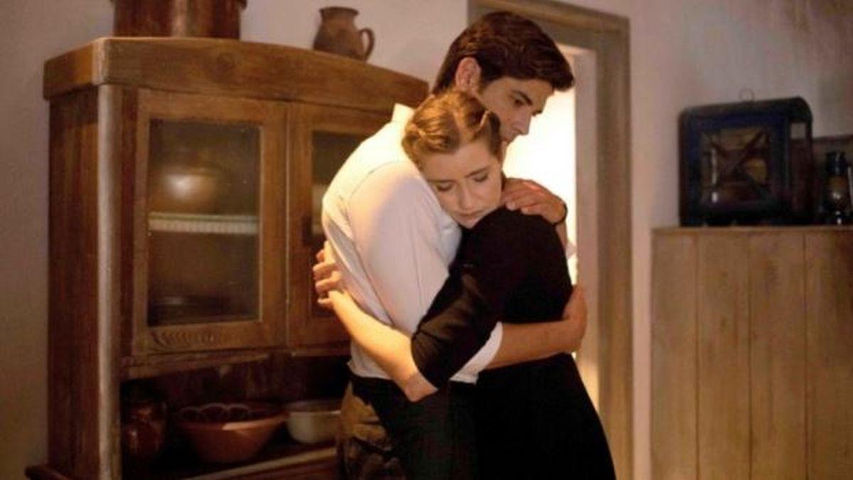 Άγριες Μέλισσες