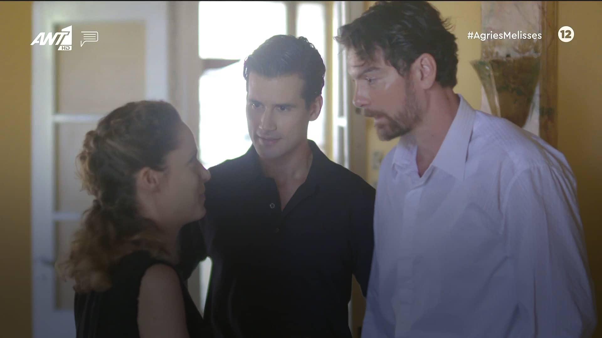 Άγριες Μέλισσες-Νικηφόρος-Ασημίνα-Κωνσταντής- Άγριες Μέλισσες-Νικηφόρος-Ασημίνα-Κωνσταντής-