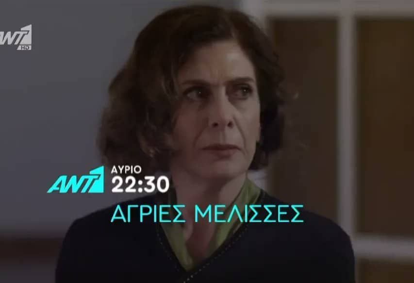 Άγριες Μέλισσες-Μυρσίνη- Άγριες Μέλισσες-Μυρσίνη-