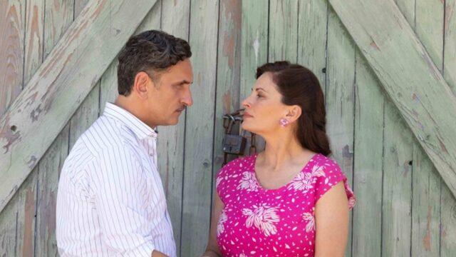 Άγριες Μέλισσες-Βιολέτα-Σταμάτης-