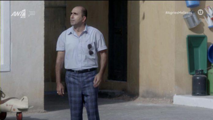 Άγριες Μέλισσες-Παναγιώτης-