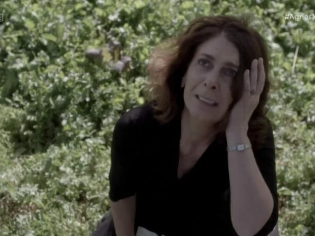 Άγριες Μέλισσες-Μυρσίνη-