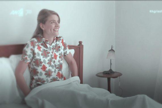 Άγριες-Μέλισσες-Δρόσω