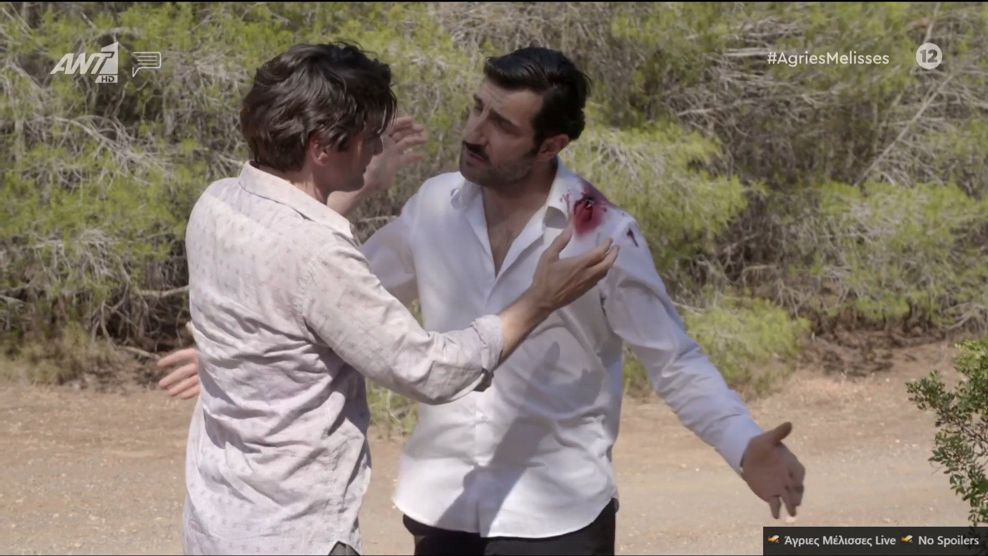 Άγριες Μέλισσες-Ζάχος-Πέτρος- Άγριες Μέλισσες-Ζάχος-Πέτρος-