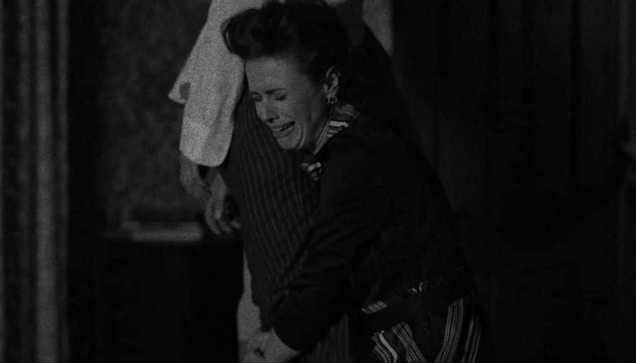 Άγριες Μέλισσες-Ζωή- Άγριες Μέλισσες-Ζωή-