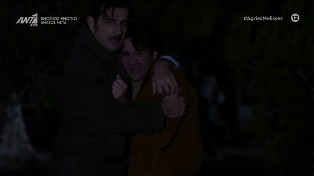 Άγριες Μέλισσες-Πέτρος-Ζάχος- Άγριες Μέλισσες-Πέτρος-Ζάχος-