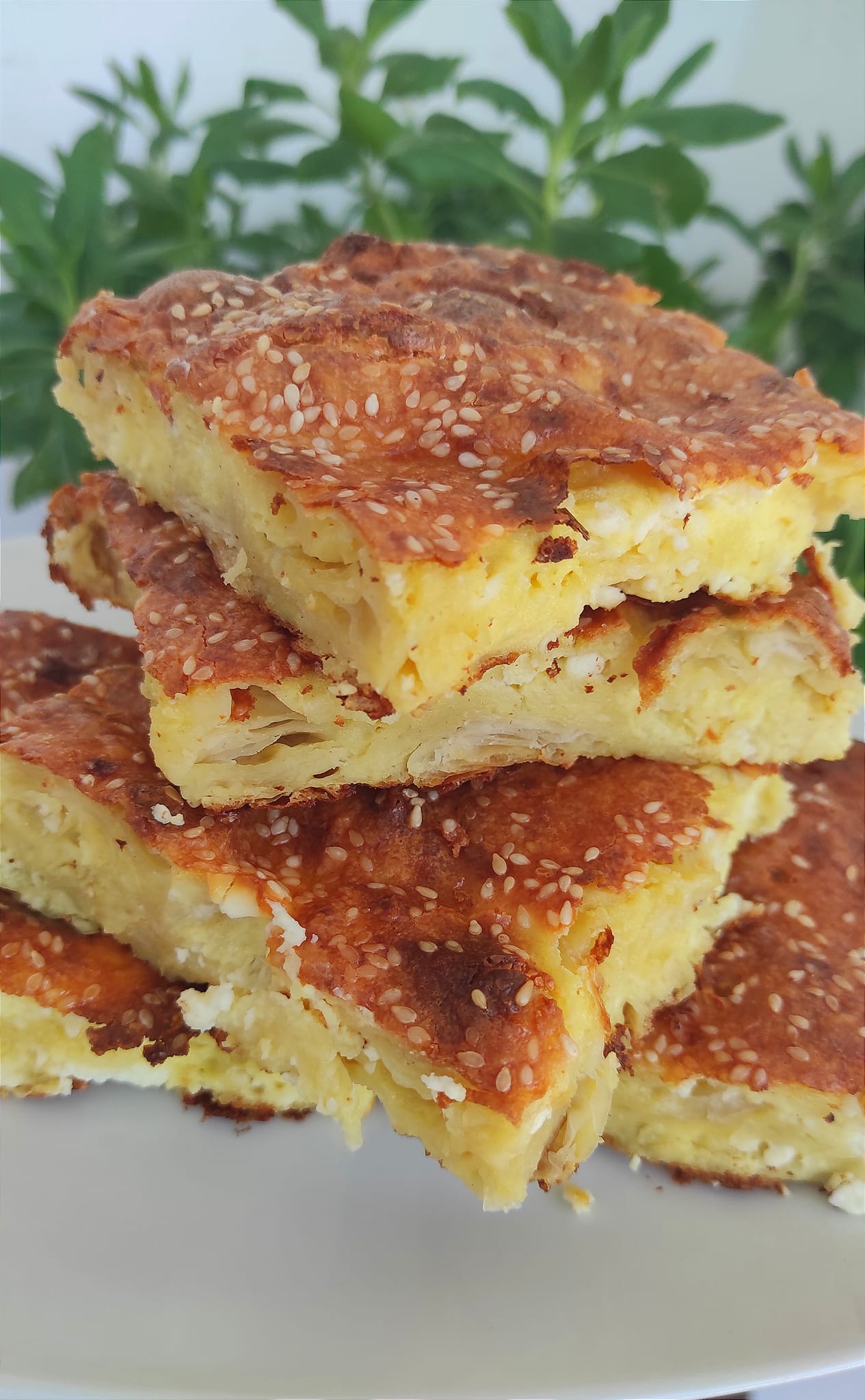 Τεμπέλικη -τυρόπιτα -με- ανθρακούχο-