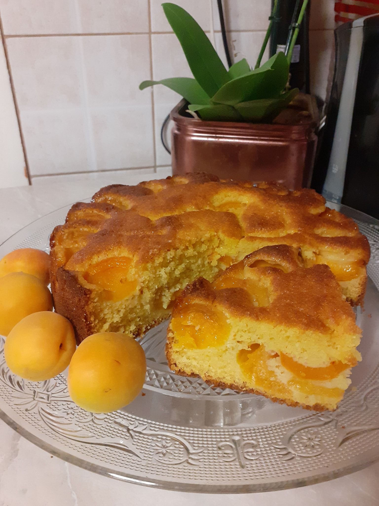 Κέικ-με βερίκοκα-συνταγή-