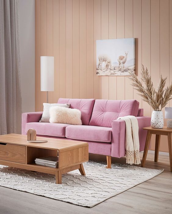 ιδέες-για-ροζ καναπέ-στην-διακόσμηση-του-σπιτιού-