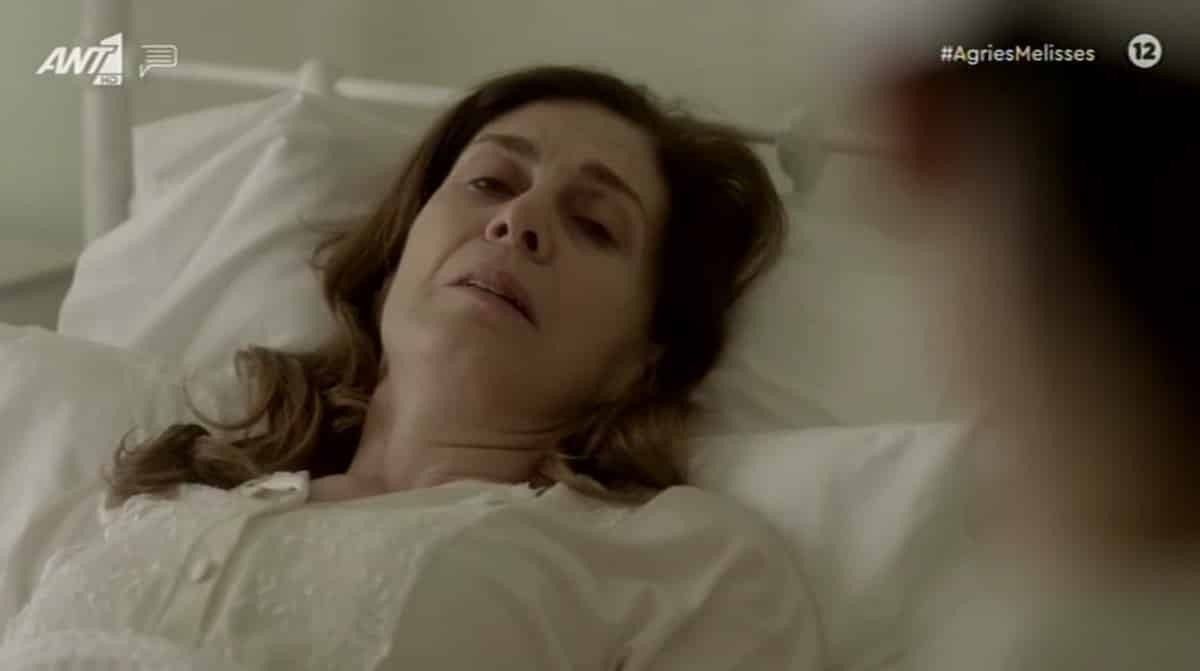 Άγριες Μέλισσες -Φινάλε : Οι συμβολισμοί στο τελευταίο επεισόδιο που λίγοι πρόσεξαν