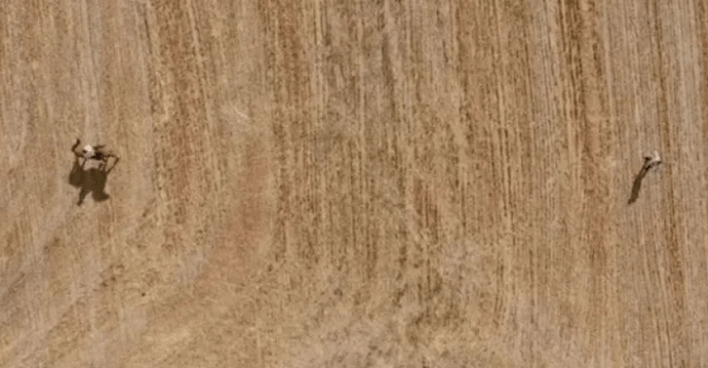 Άγριες Μέλισσες: Πέταξαν για τελευταία φόρα και μείς τις αποχαιρετάμε όπως τους αξίζει