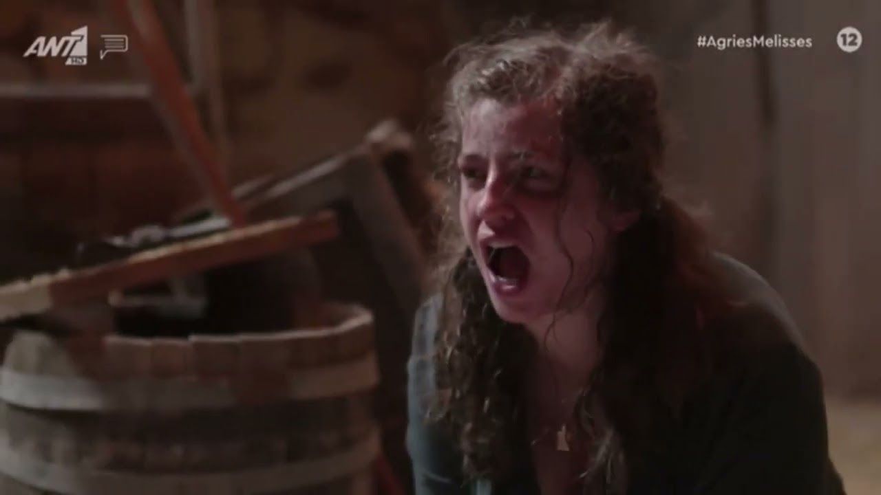 Άγριες Μέλισσες: Σε ποια σήριαλ θα παίξουν οι πρωταγωνιστές της σειράς