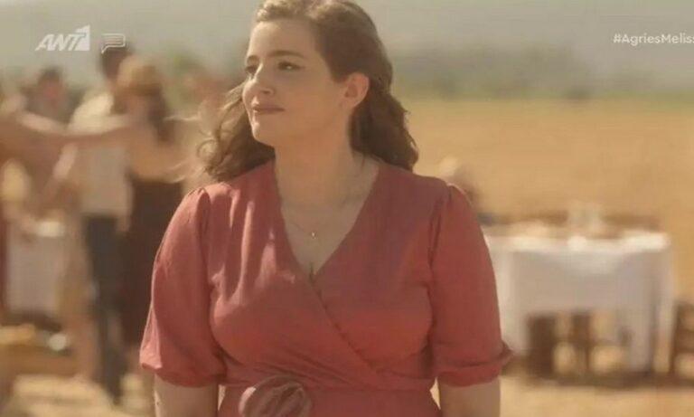 Άγριες Μέλισσες: Σε ποια σήριαλ θα παίξουν οι πρωταγωνιστές της σειράς