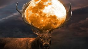 Φεγγάρι του Ελαφιού: Σήμερα το βράδυ  η πανσέληνος του Ιουλίου