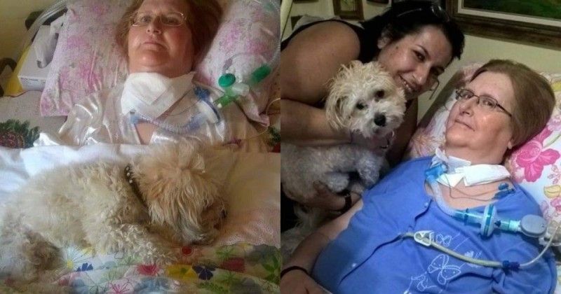 Φωτεινή Μπαχατούρη: Η συγκλονιστική ιστορία της όπου είναι 7 χρoνια καθηλωμένη σε ένα κρεβάτι