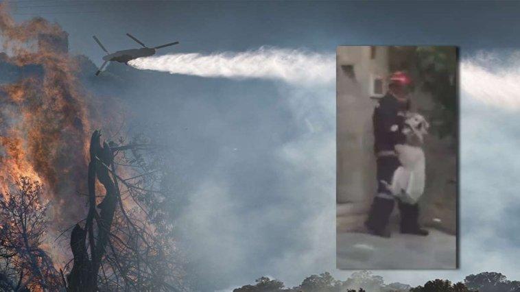 Φωτιά-Ντράφι: H διάσωση μεγαλόσωμου σκύλου από πυροσβέστη εθελοντή συγκινεί