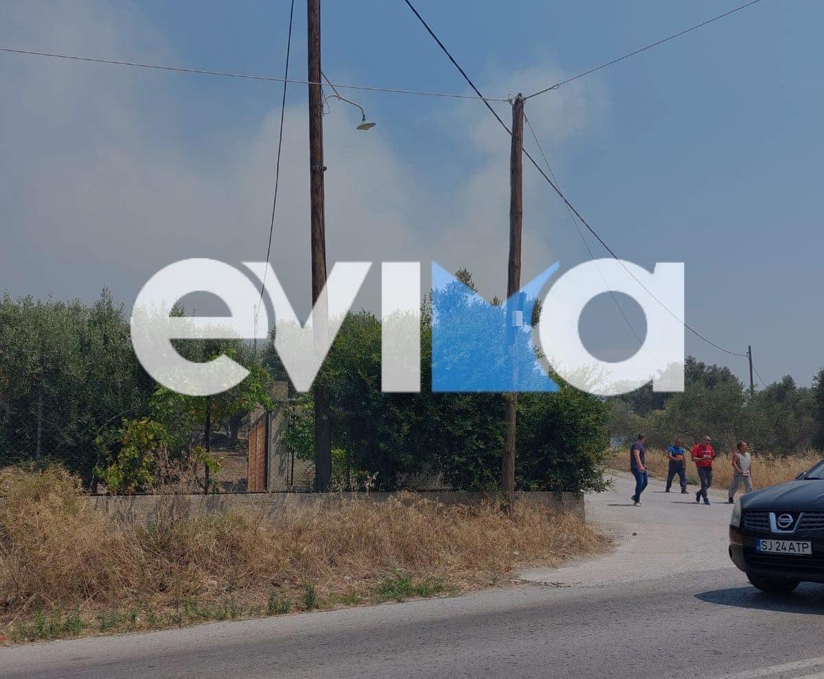 Φωτιά τώρα στο Αλιβέρι Ευβοίας