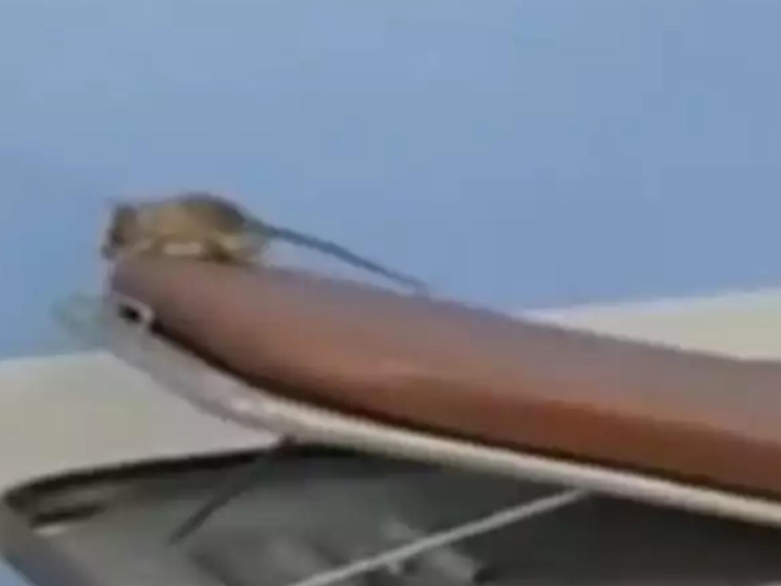 ΣΟΚ: Ποντίκι έκανε βόλτες μέσα σε γνωστό νοσοκομείο της Αττικής (Βίντεο)