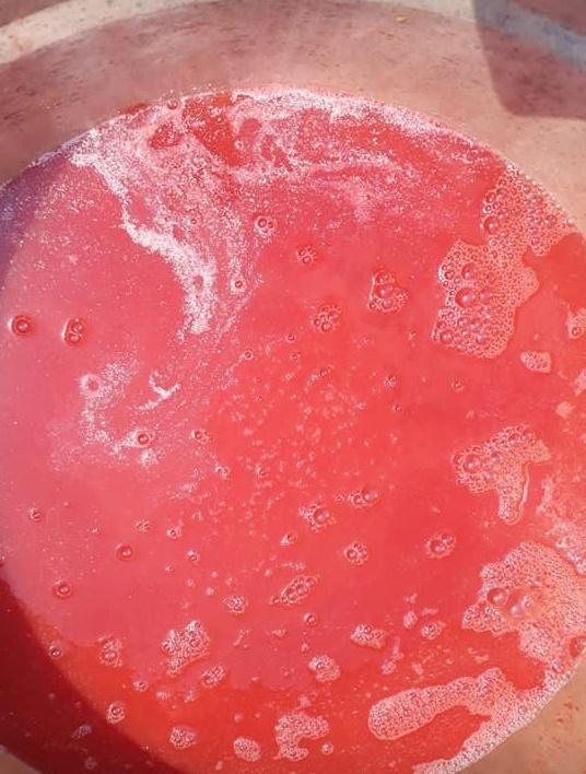 Σπιτικός -πελτές -ντομάτας - Βήμα βήμα Σπιτικός -πελτές -ντομάτας - Βήμα βήμα