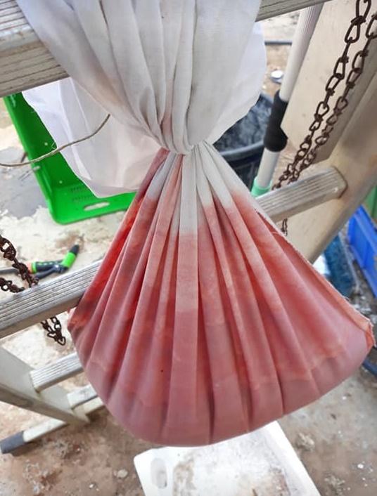 Σπιτικός -πελτές -ντομάτας - Βήμα βήμα Σπιτικός -πελτές -ντομάτας - Βήμα βήμα