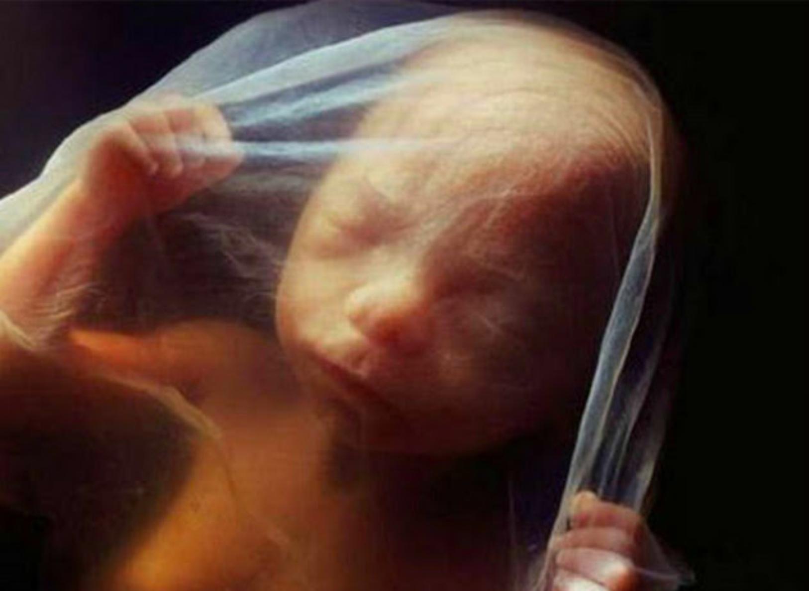 Παιδιά Φρανκενστάιν: Ερευνητές έφτιαξαν το πρώτο «συνθετικό έμβρυο» στον κόσμο