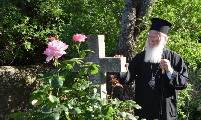 Αυτόματο προσχέδιο