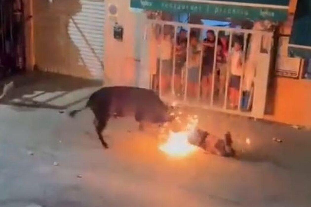 Φρίκη : Ταύρος σκότωσε άνθρωπο σε φεστιβάλ