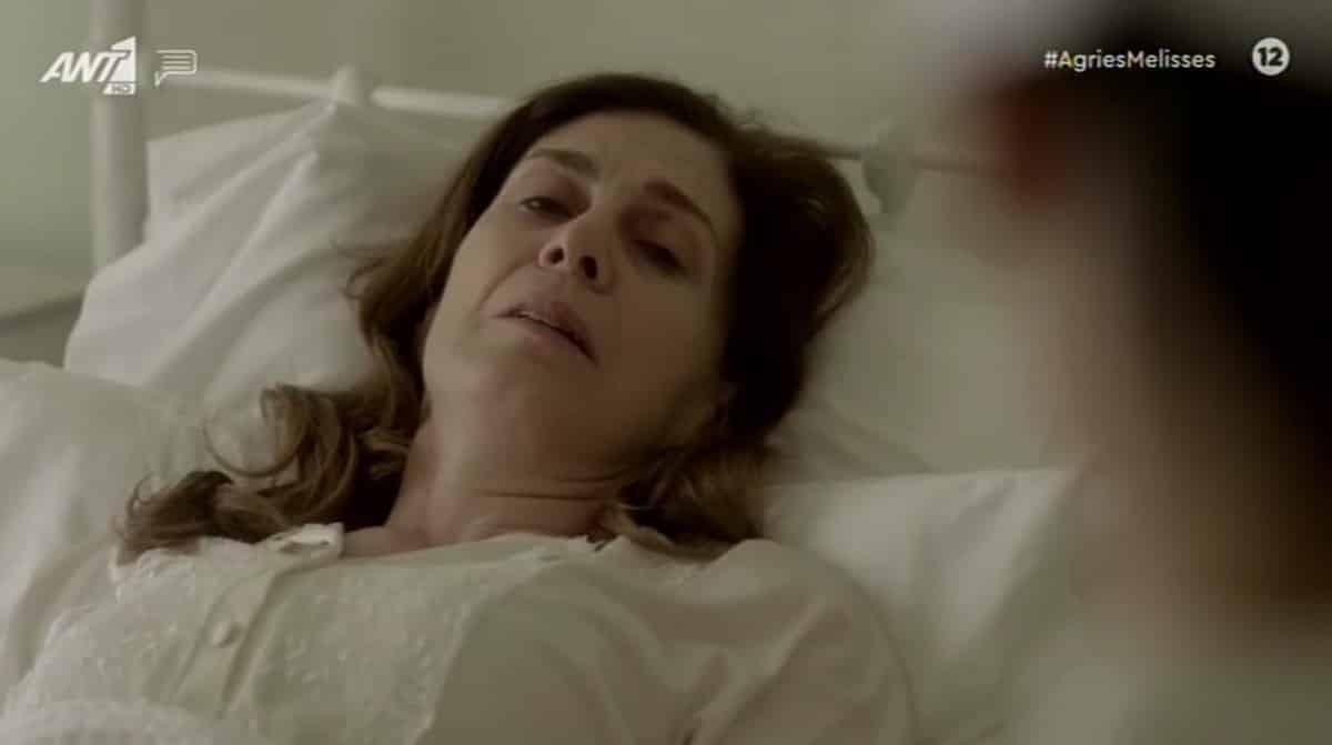 Επιστρέφουν οι Άγριες Μέλισσες στον ΑΝΤ1