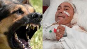 Επίθεση από αγέλη 15 σκυλιών: Πατέρας πάλεψε για να σώσει τα παιδιά του