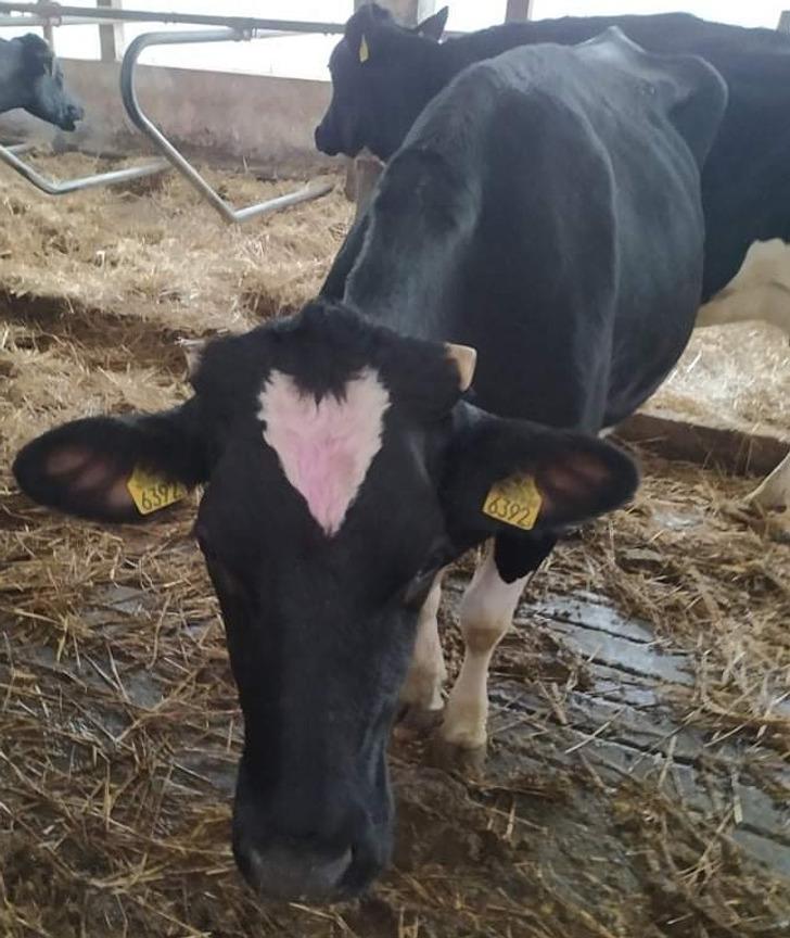 15-αστείες-εικόνες-από-το-διαδίκτυο-