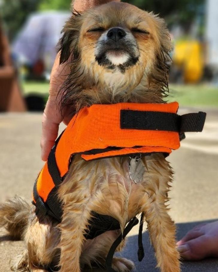 15-αστείες-εικόνες-από-το-διαδίκτυο-