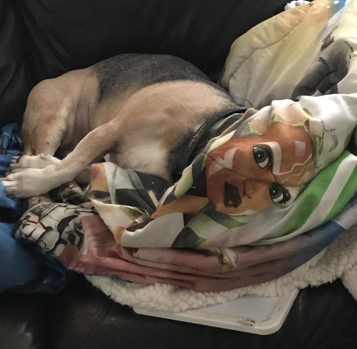 15-αστείες-εικόνες-από-το-διαδίκτυο-